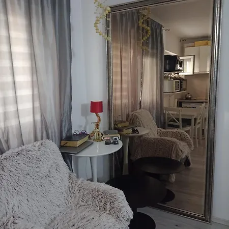 公寓 Cozy Urban Hideaway 克卢日-纳波卡